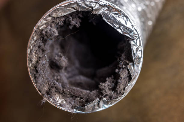 Best Professional Duct Cleaning Services  in Hawaiian Acres, HI